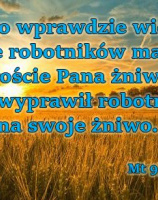 XI nd zwykła.jpg